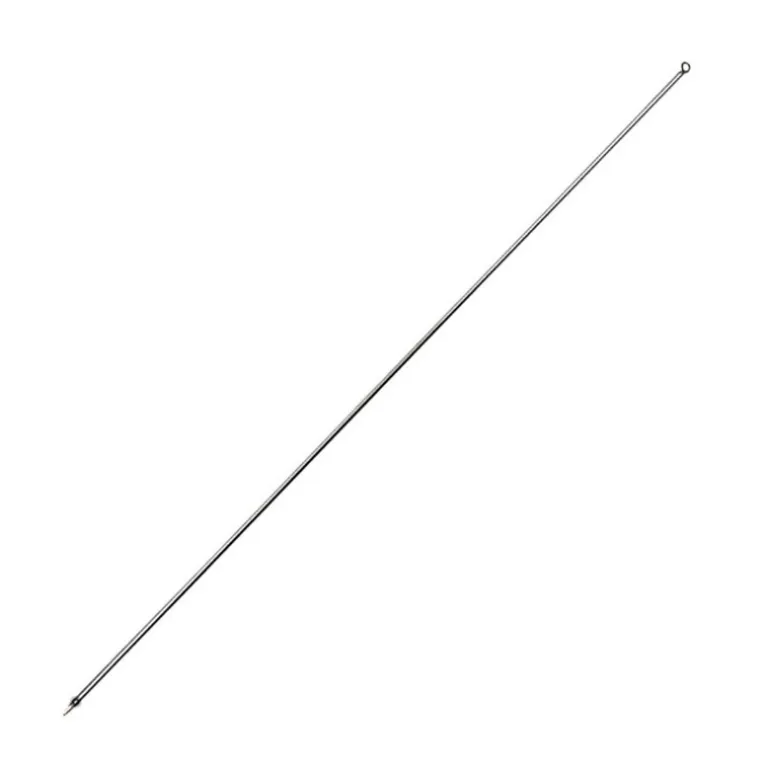 Aiguille A Vers Ragot Inox Pleine Anneau - Par 2