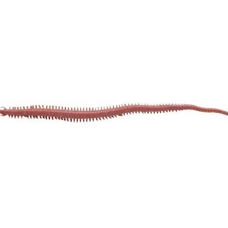 Appat Artificiel Berkley Gulp Sandworm Néréïs - 15Cm - Par 10