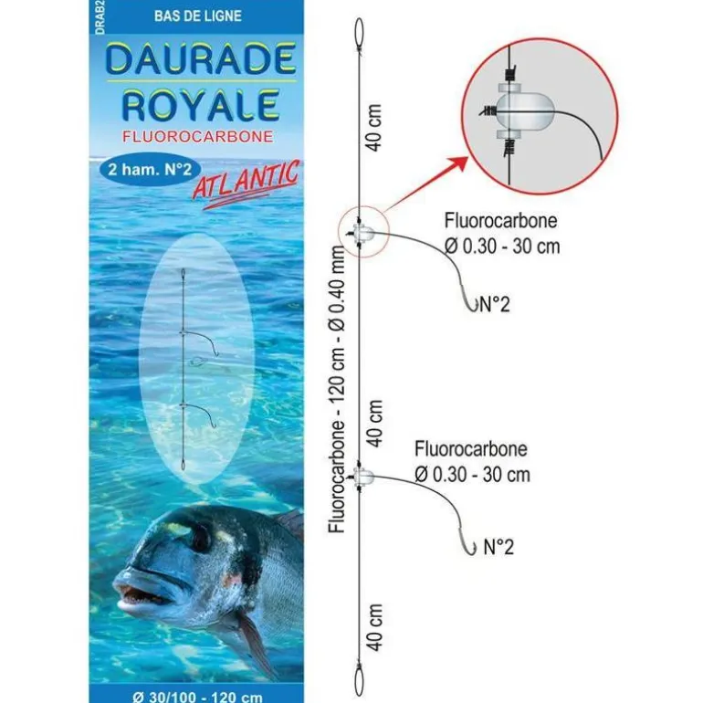 Bas De Ligne Mer Flashmer Daurade Royale Atlantic