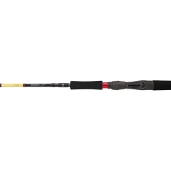 Canne Casting Daiwa Grandwave