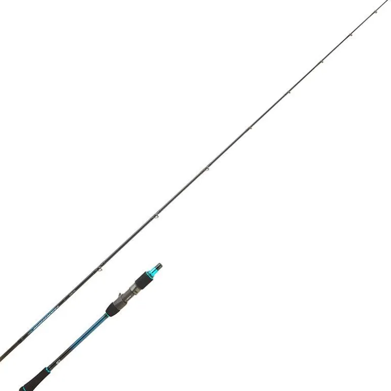Canne Casting Daiwa Harrier Jigging