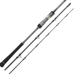 Canne Casting Hearty Rise Skywalker Slow Jigging Casting
