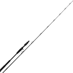 Canne Casting N.S Black Hole Boca Slow Jigging