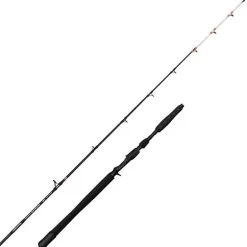 Canne Casting Penn Marine Brigade Dentex