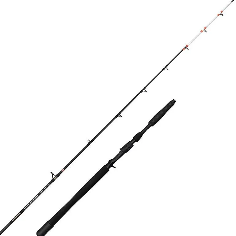 Canne Casting Penn Marine Brigade Dentex