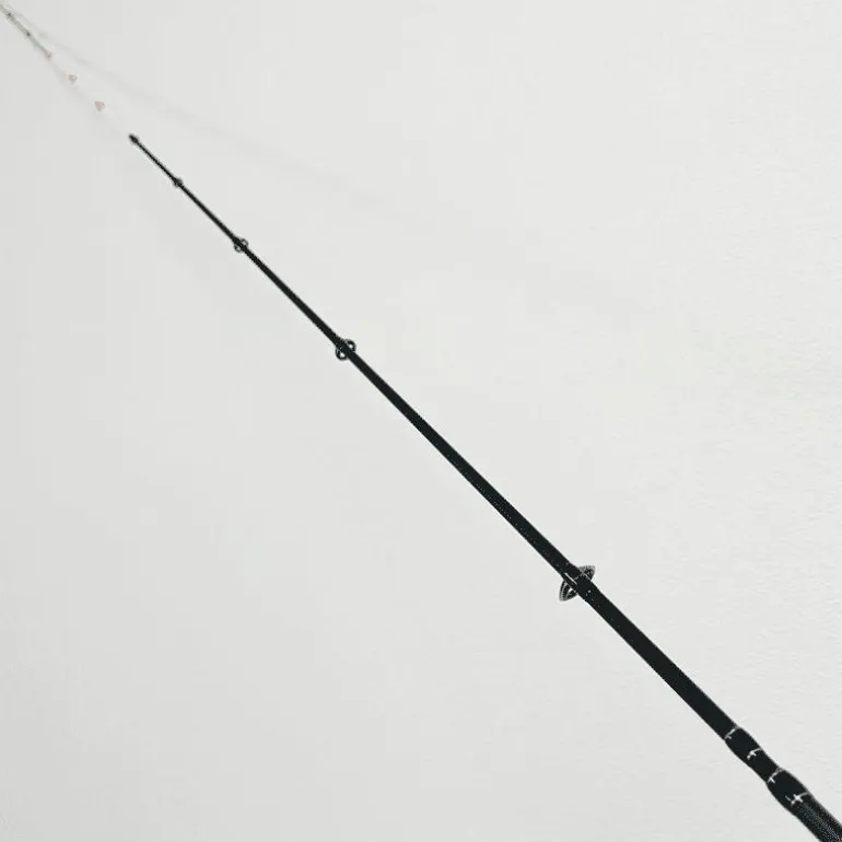 Canne Casting Tailwalk Metalzon Ssd C68mh/Fsl