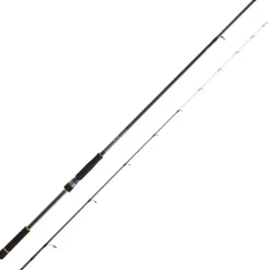 Canne Daiwa Bg Tenya Game