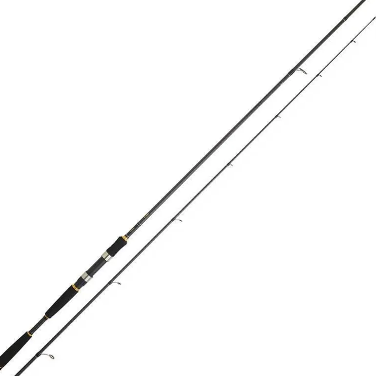 Canne Daiwa Legalis Seabass