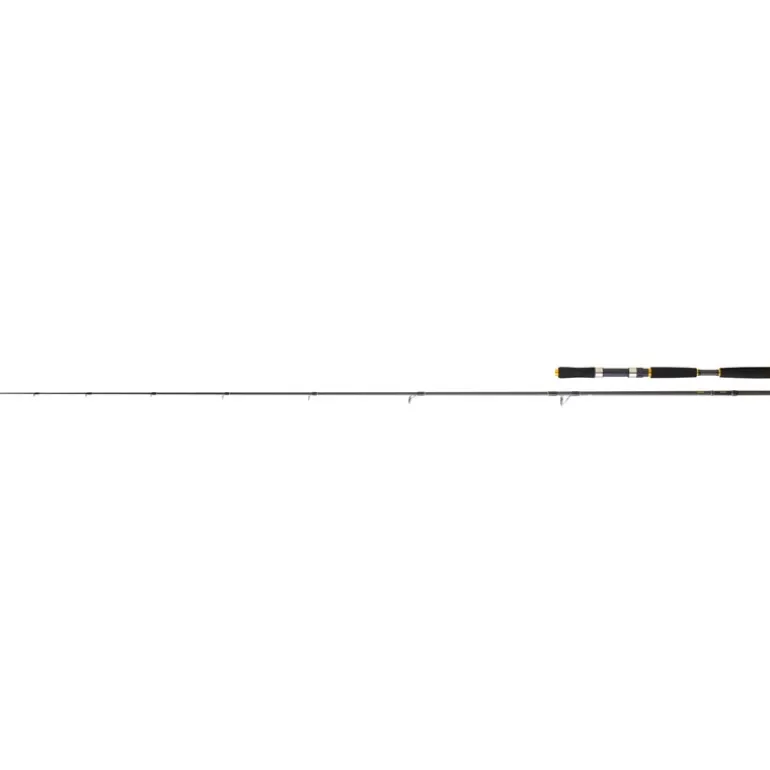 Canne Daiwa Legalis Seabass