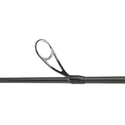 Canne Daiwa Morethan Branzino Expert
