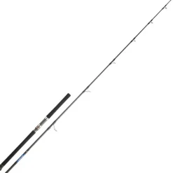 Canne Daiwa Saltiga