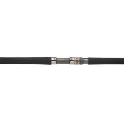 Canne Daiwa Saltiga