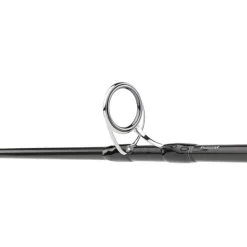 Canne Daiwa Saltiga