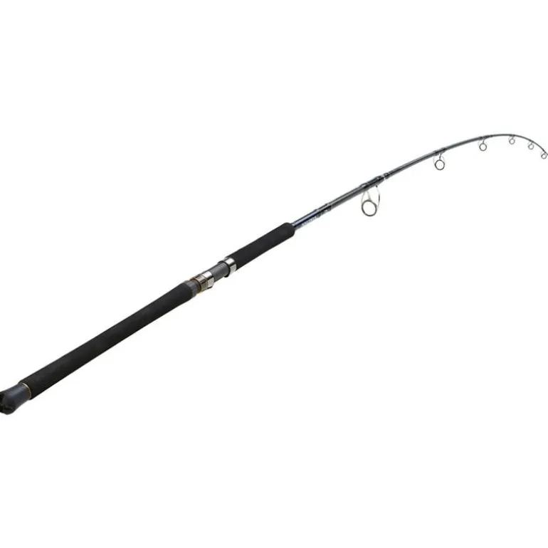 Canne Daiwa Saltiga Air Portable