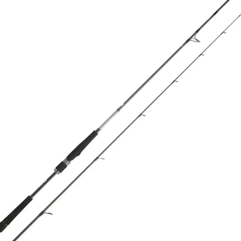 Canne Daiwa Saltist Seabass
