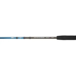 Canne Daiwa Spitfire Seabass