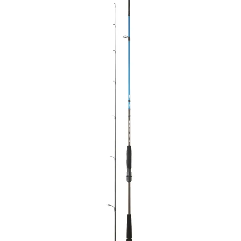 Canne Daiwa Spitfire Seabass