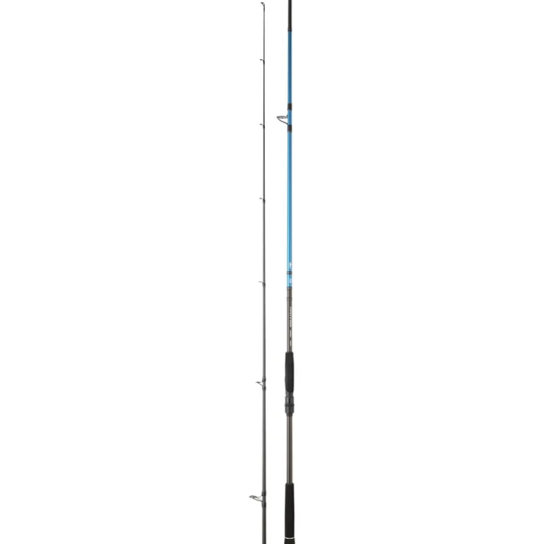 Canne Daiwa Spitfire Seabass