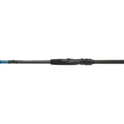 Canne Daiwa Spitfire Seabass