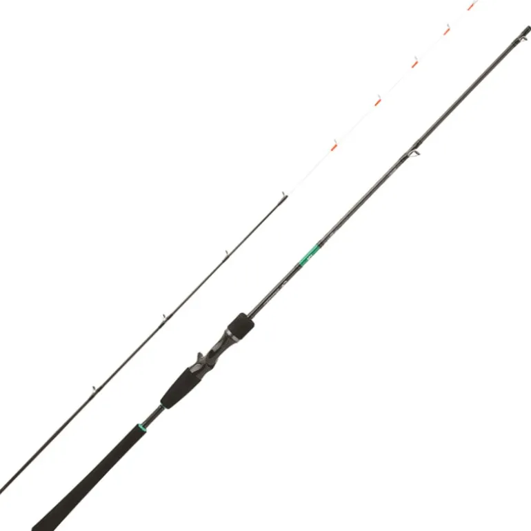 Canne Eging Daiwa Emeraldas Boat 25 Tataki Casting