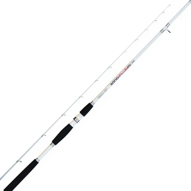 Canne Eging Jatsui Squid Hunter