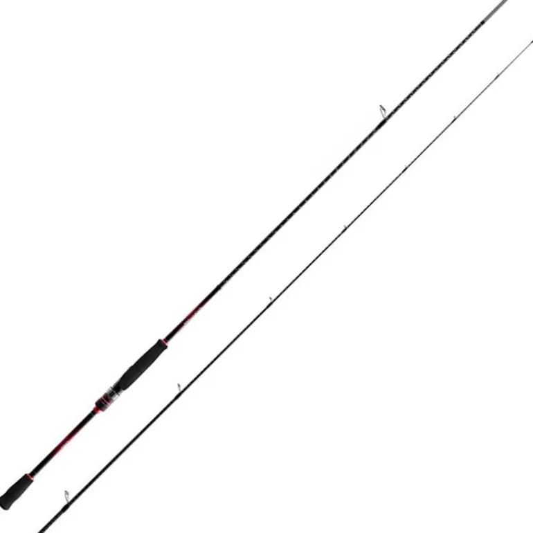 Canne Eging Shimano Sephia Bb Spinning