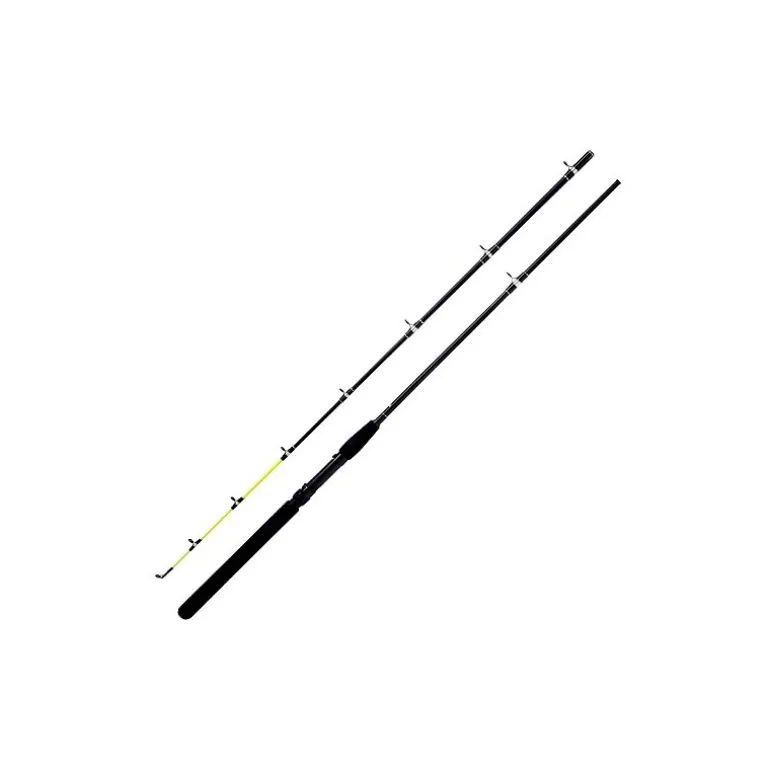 Canne Mer Bateau Abu Garcia Seven Trolling