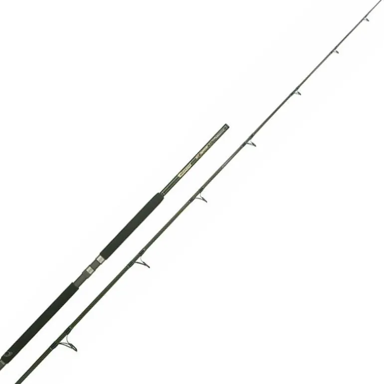 Canne Mer Italcanna Gt Special Popping
