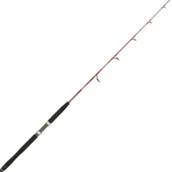 Canne Mer Italcanna Jig Killer