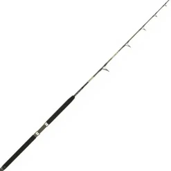 Canne Mer Italcanna Jigging
