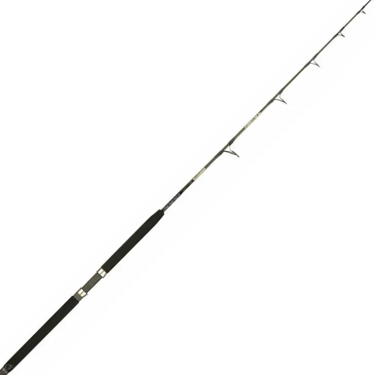 Canne Mer Italcanna Jigging