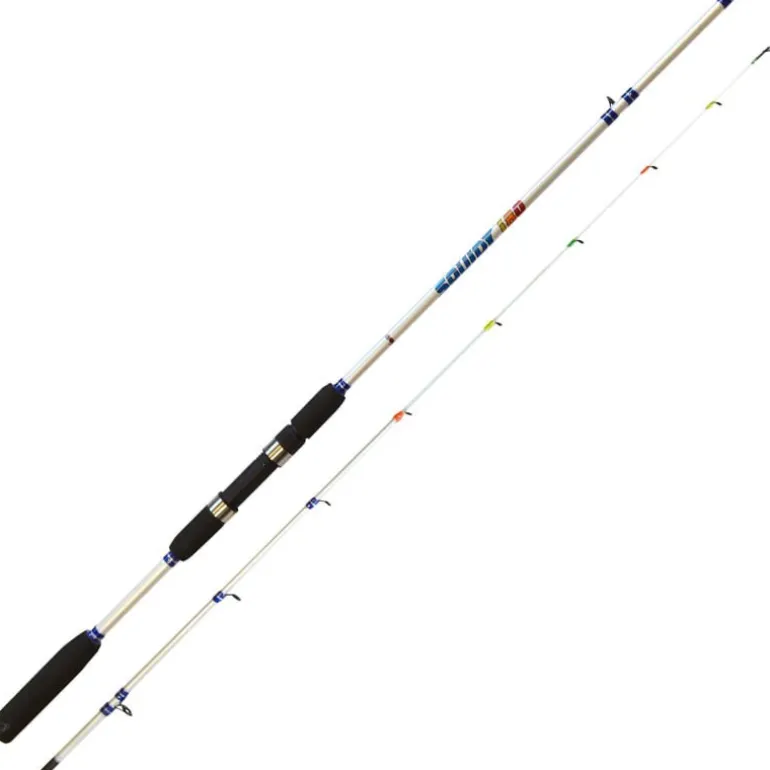 Canne Mer Rod Factory Rod Factory Squidy