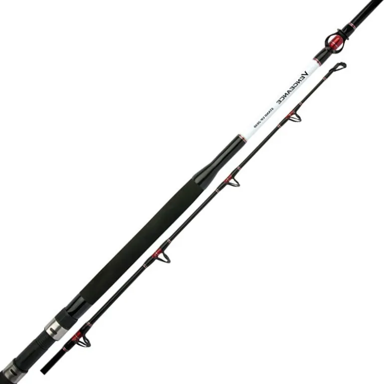 Canne Mer Shimano Vengeance Standup