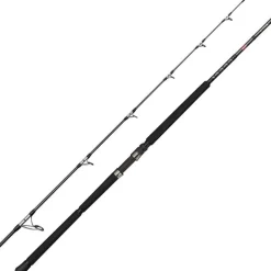 Canne Penn Ally Ii Offshore Casting Rod