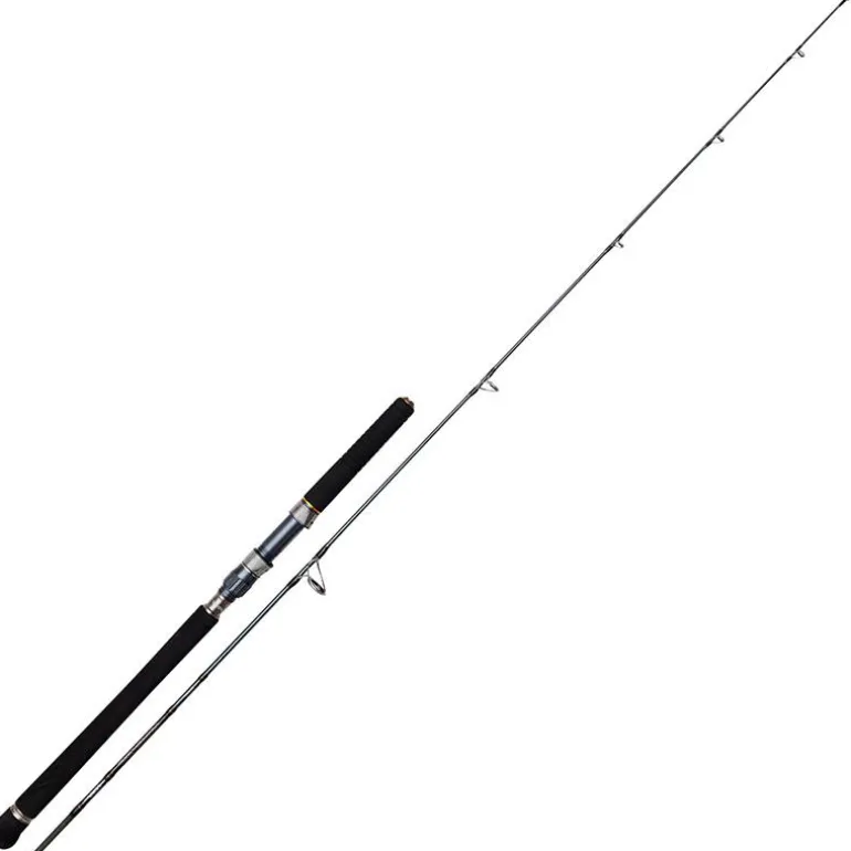 Canne Penn Battalion Solid Jigging Spinning Rod