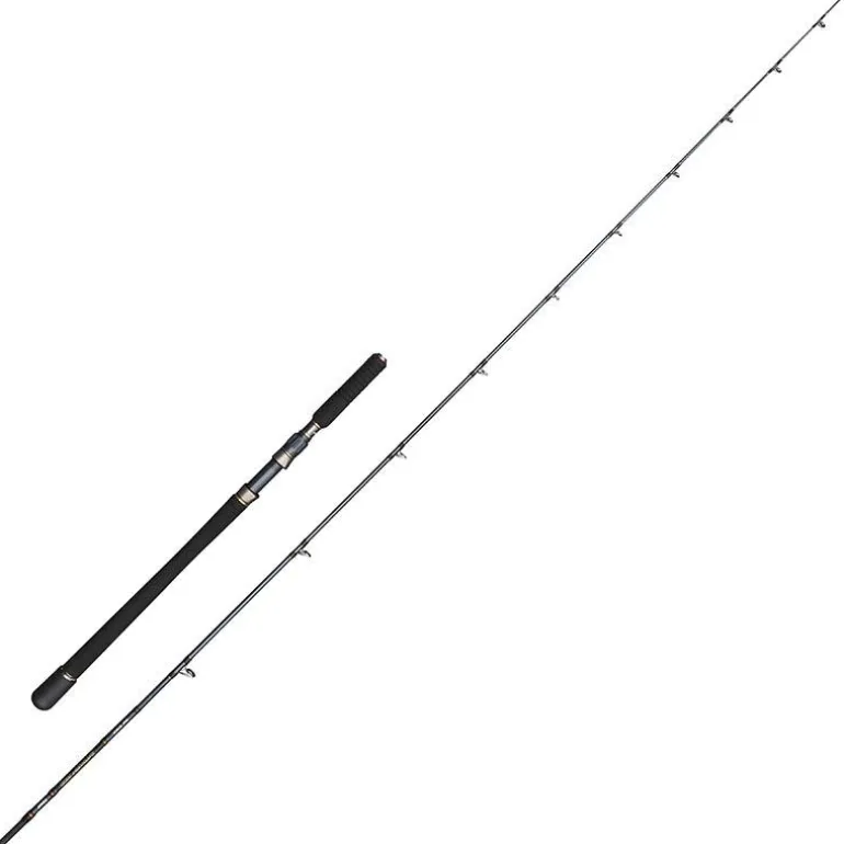 Canne Penn Battalion Solid Hybrid Boat Rod