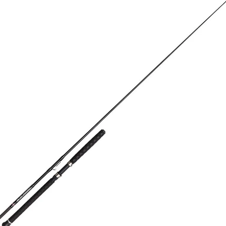 Canne Penn Prevail Iii Le Sw Boat Inline Rod