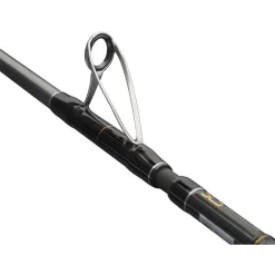 Canne Penn Regiment Iv Pro Boat Rod