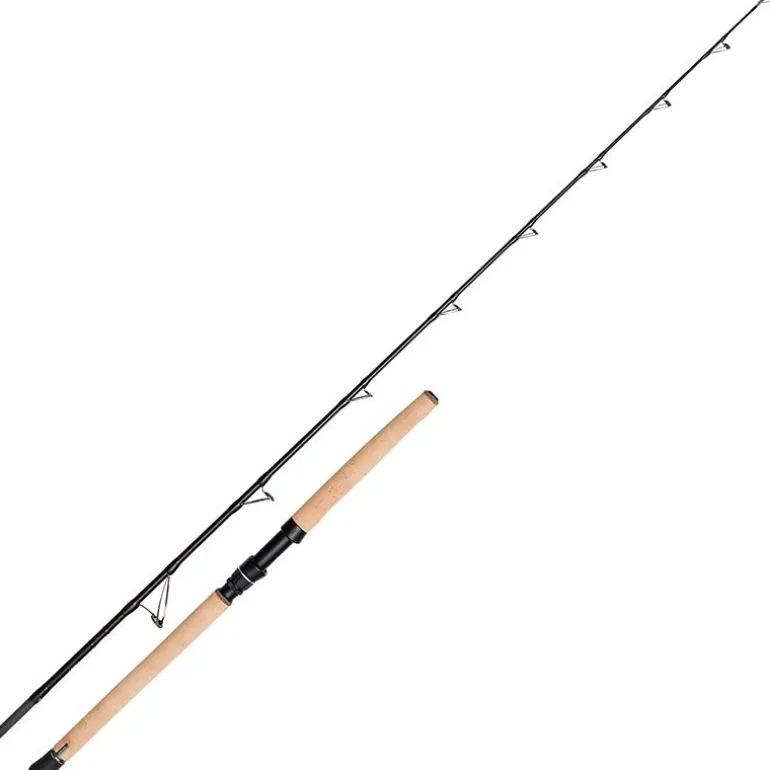 Canne Savage Gear Fury Sg6 Boat Rod