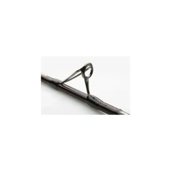 Canne Savage Gear Fury Sg6 Boat Rod
