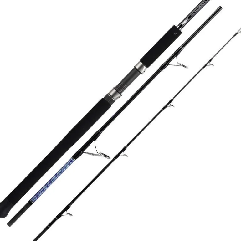 Canne Smith Dragonbait Sea-Bass Faraway