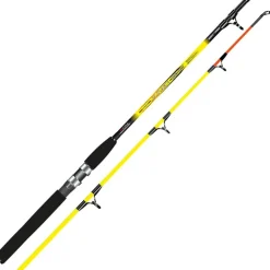 Canne Spinning Autain Jamaïc Ii