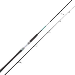 Canne Spinning Balzer 71° North Power Pilk