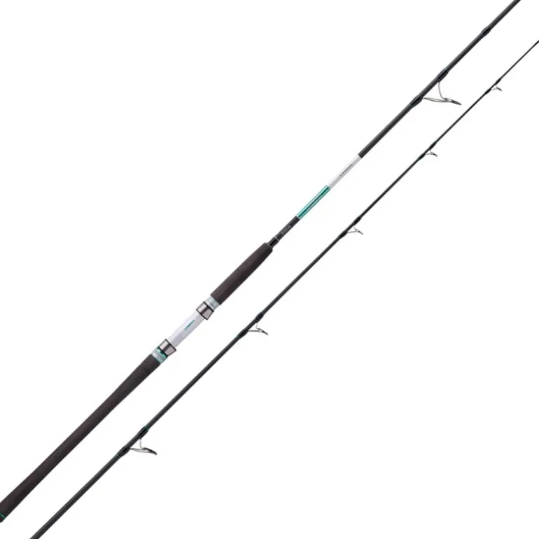 Canne Spinning Balzer 71° North Power Pilk