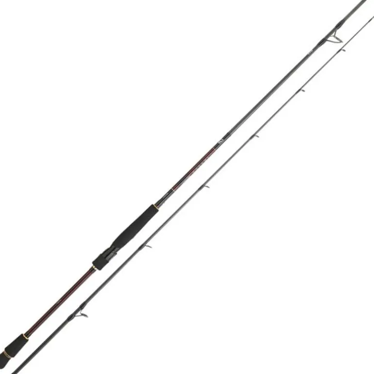 Canne Spinning Daiwa Infeet Seabass