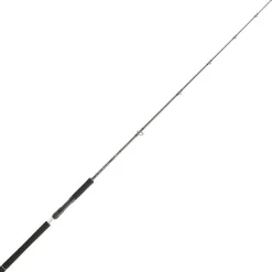 Canne Spinning Daiwa Legalis Jigging