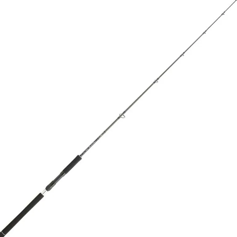 Canne Spinning Daiwa Legalis Jigging