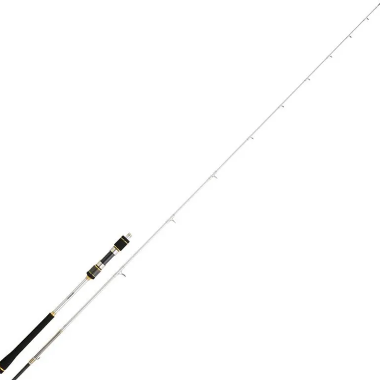 Canne Spinning Daiwa Megaforce 1+1