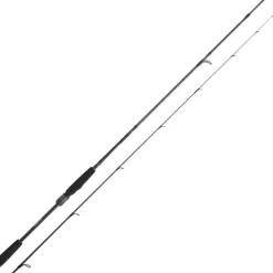 Canne Spinning Daiwa Prorex Ags Spinning