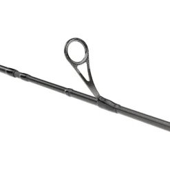 Canne Spinning Daiwa Prorex Ags Spinning